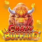 Crazy Buffalo