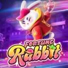 Fortune Rabbit