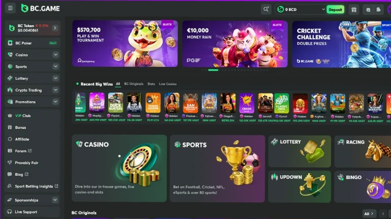 Pengalaman Bermain di BC Game