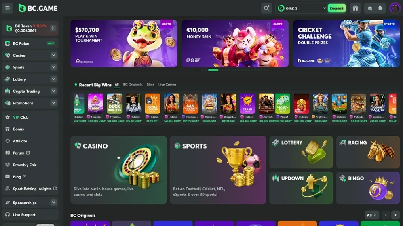 Pengalaman Bermain di BC Game